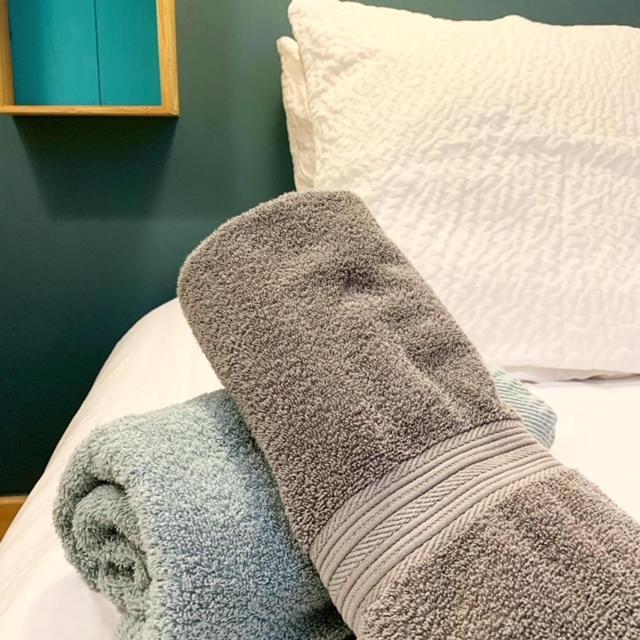 Au Cheval Blanc - Appartements Et Chambres D'Hotes 알베르빌 외부 사진