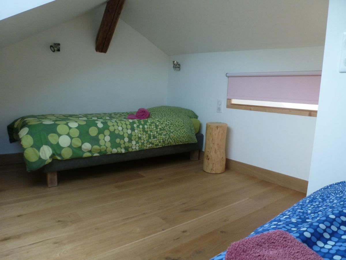 Au Cheval Blanc - Appartements Et Chambres D'Hotes 알베르빌 외부 사진