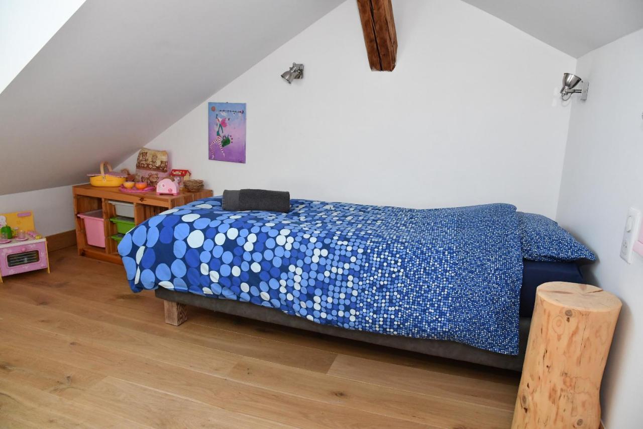 Au Cheval Blanc - Appartements Et Chambres D'Hotes 알베르빌 외부 사진